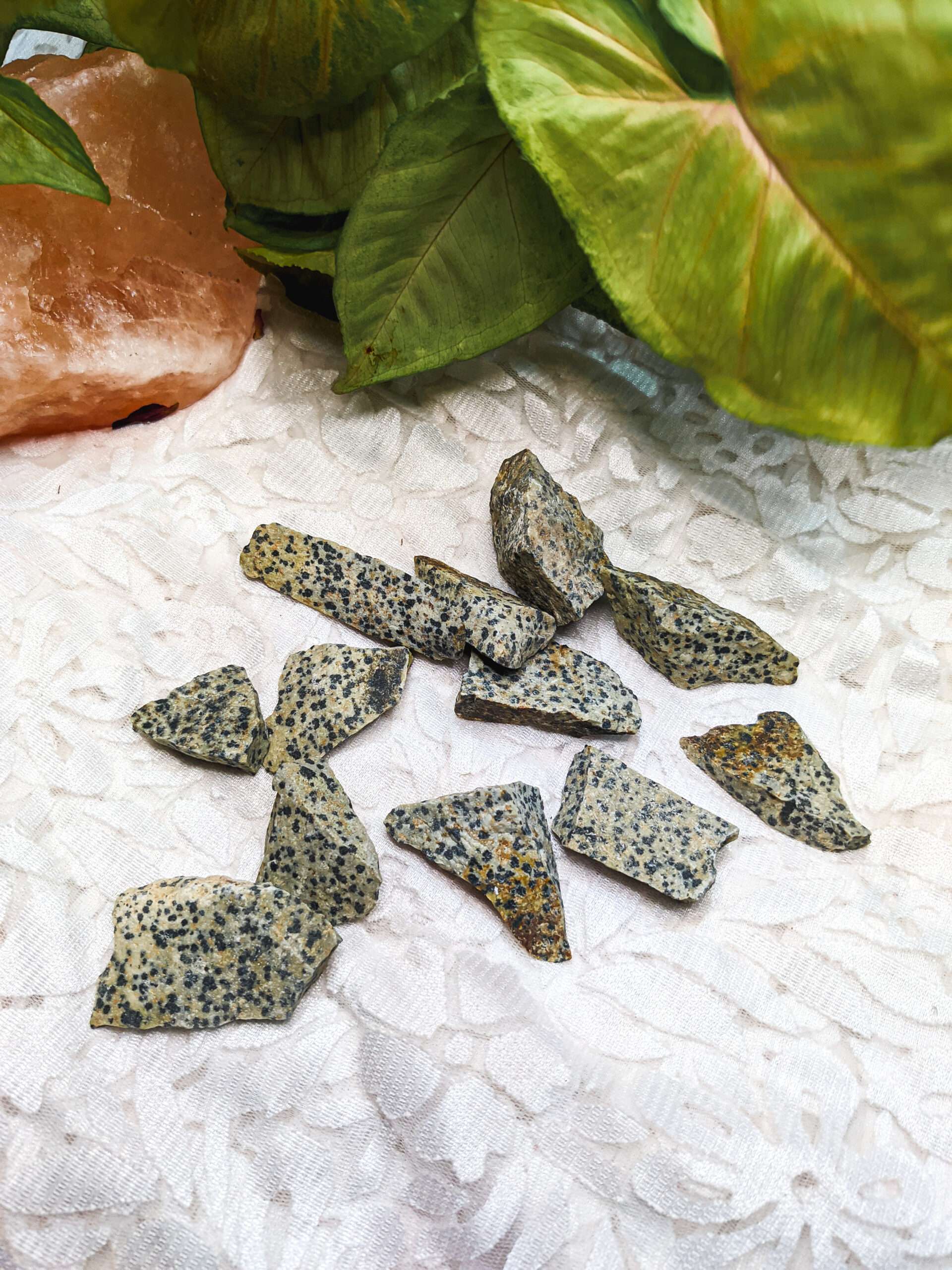 Dalmation Jasper Raw