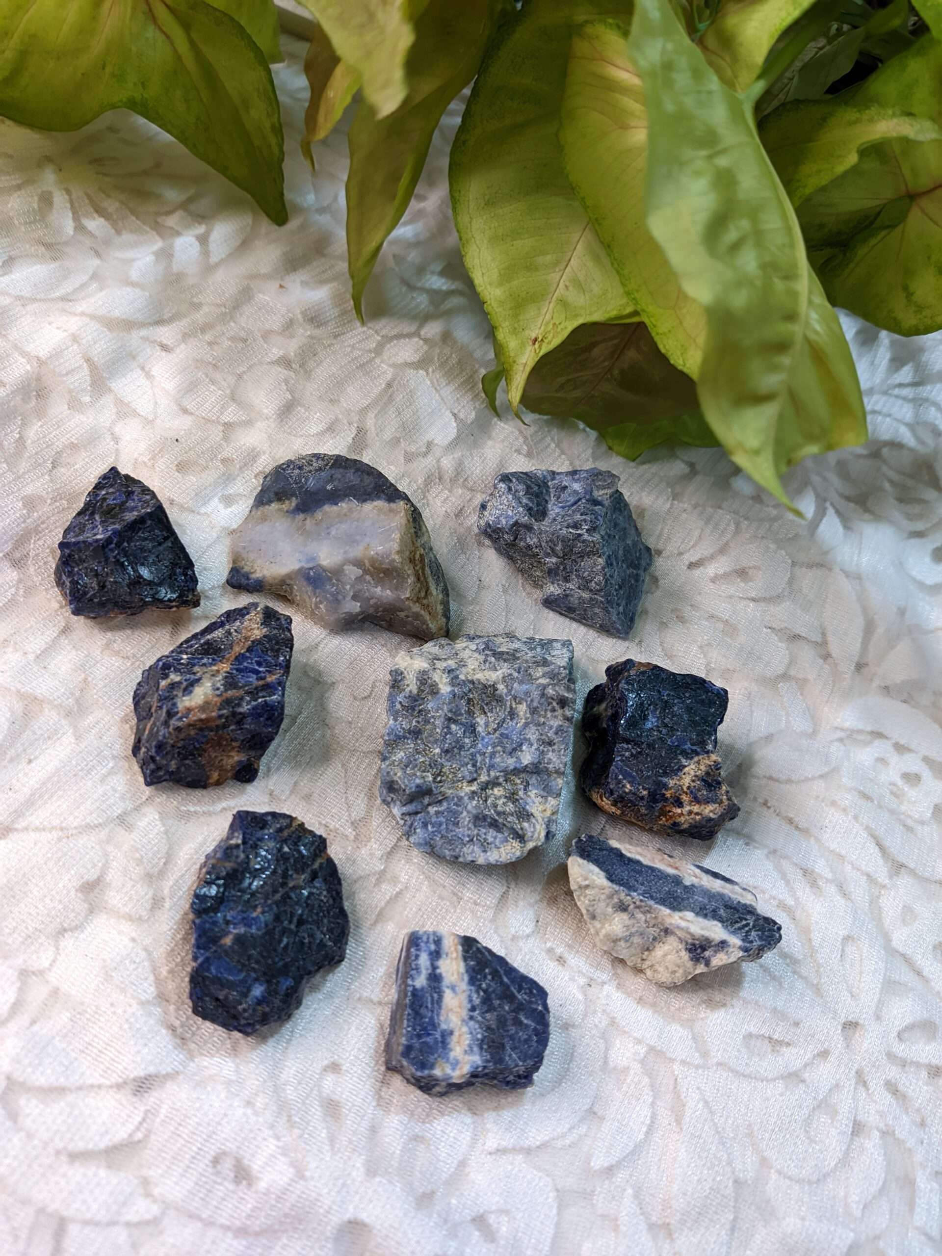 Sodalite Raw